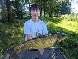 Silver Carp