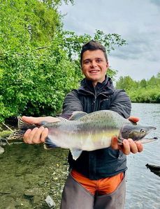 Pink Salmon