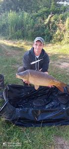 Mirror Carp