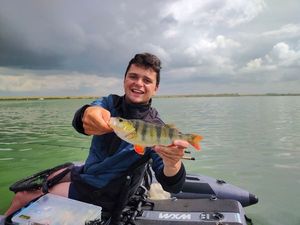 European Perch