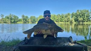 Mirror Carp