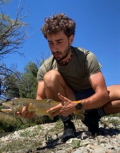 Brown Trout