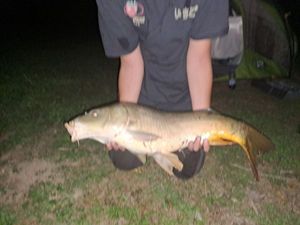 Leather Carp