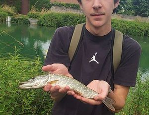 Northern Pike