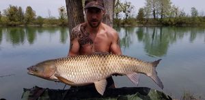 Grass Carp