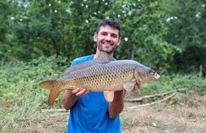 Common Carp