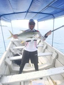 Crevalle Jack