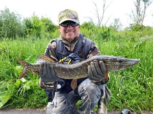 Northern Pike