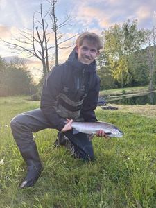 Rainbow Trout