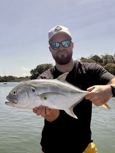 Crevalle Jack
