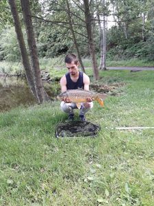 Mirror Carp