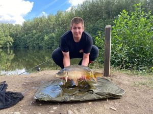 Mirror Carp