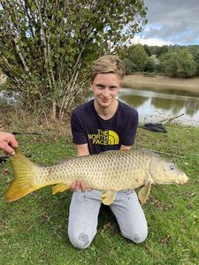 Common Carp