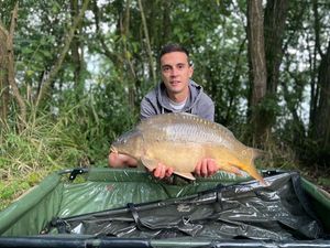 Mirror Carp