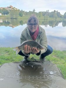 Crucian Carp