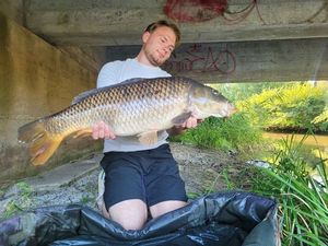 Common Carp