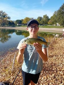 Largemouth Bass