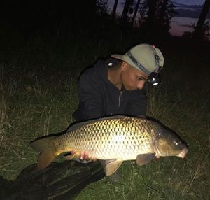 Common Carp