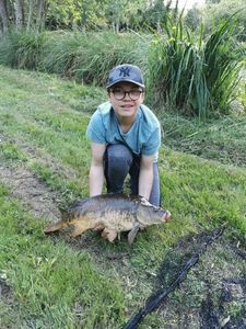 Mirror Carp