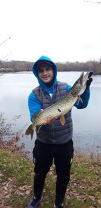 Northern Pike