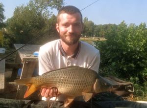 Common Carp
