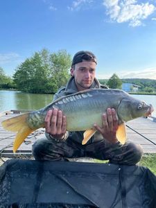 Mirror Carp