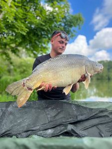 Mirror Carp