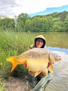 Mirror Carp