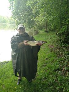 Northern Pike