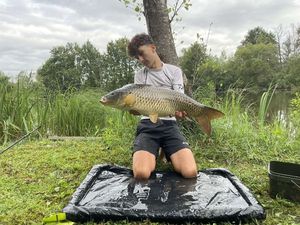 Common Carp