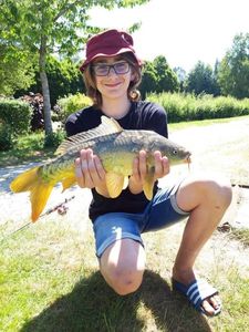 Mirror Carp