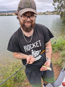 Largemouth Bass