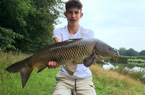 Common Carp