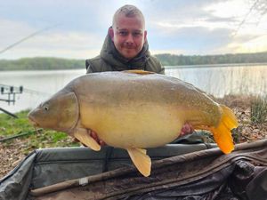 Mirror Carp