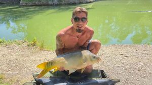 Mirror Carp