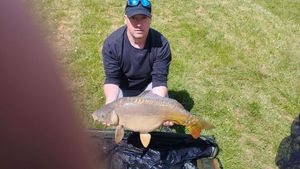 Mirror Carp