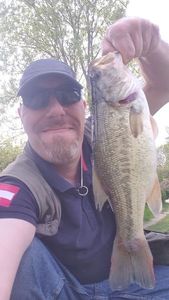 Largemouth Bass