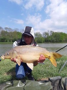 Leather Carp