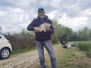 Common Carp