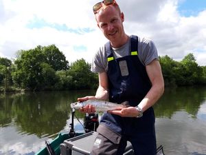 Rainbow Trout