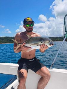 Giant Trevally (GT)
