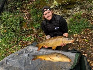 Common Carp