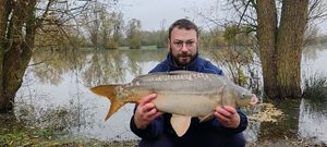 Mirror Carp