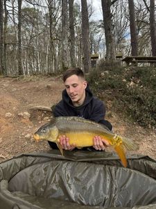 Mirror Carp