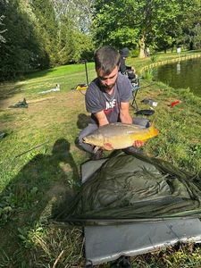 Mirror Carp