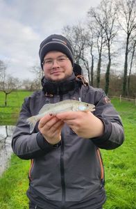 Zander