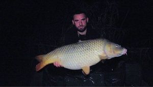 Common Carp