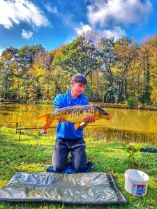Mirror Carp