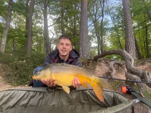 Mirror Carp