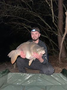 Mirror Carp